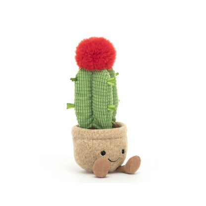 Amuseables Moon Cactus –  The Flower Factory, Tarzana CA