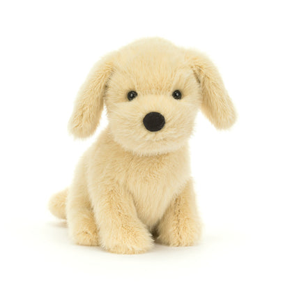 Golden Puppy –  The Flower Factory, Tarzana CA