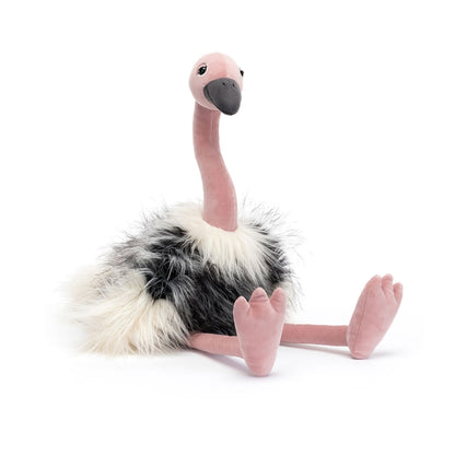 Ramonda Ostrich –  The Flower Factory, Tarzana CA