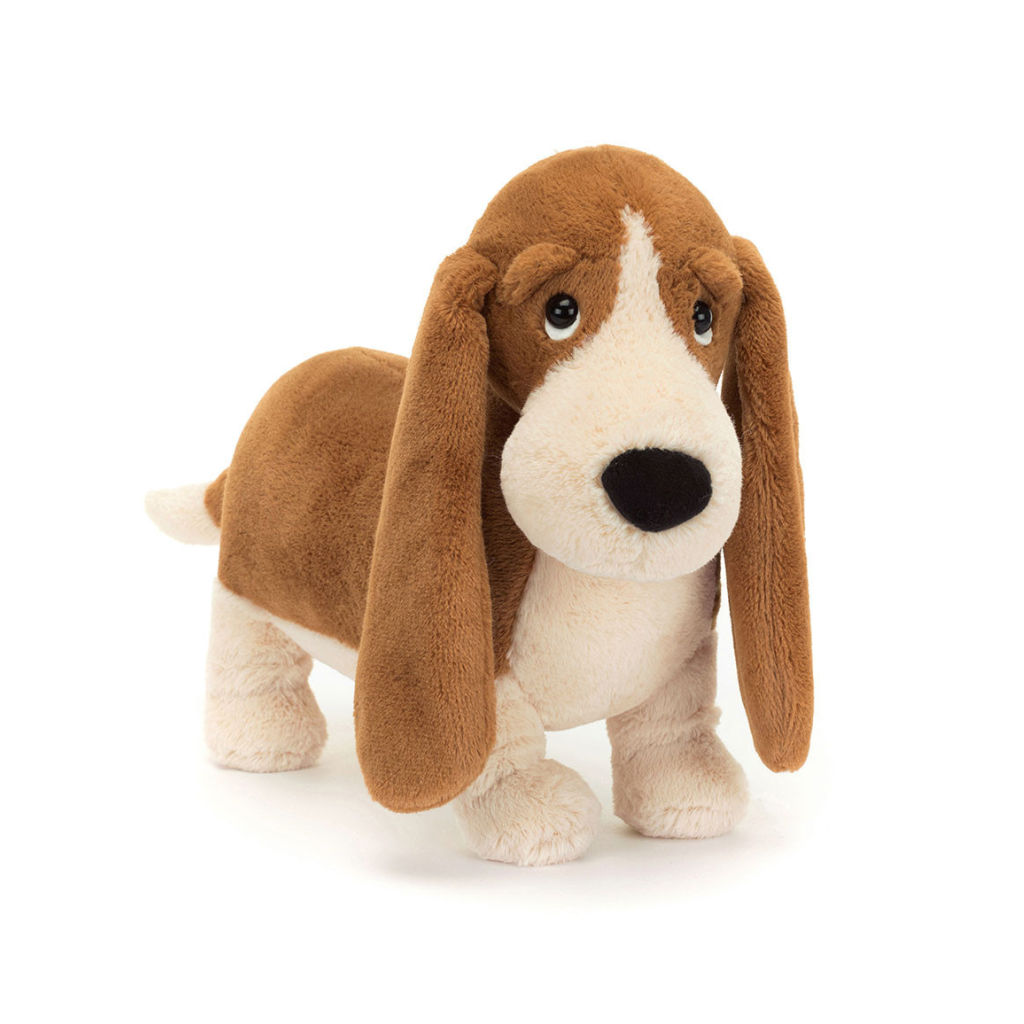 Randall Basset Hound