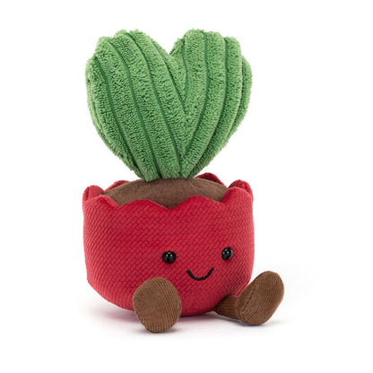 Amuseables Kerrii Cactus –  The Flower Factory, Tarzana CA