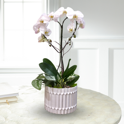 White Orchid Heart Planter –  The Flower Factory, Tarzana CA