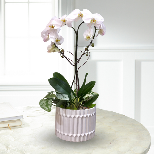 White Orchid Heart Planter