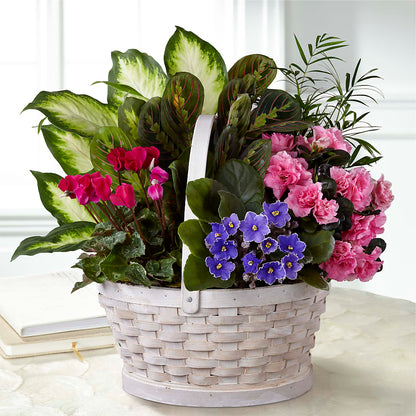 Peaceful Garden Planter –  The Flower Factory, Tarzana CA