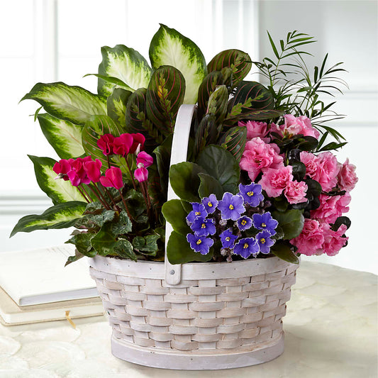 Peaceful Garden Planter –  The Flower Factory, Tarzana CA