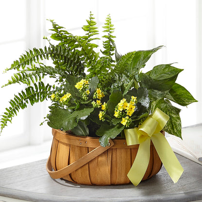 Always Dear Dishgarden –  The Flower Factory, Tarzana CA