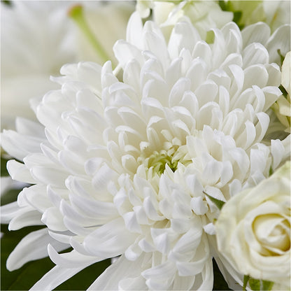Classic Ivory – A Florist Original –  The Flower Factory, Tarzana CA