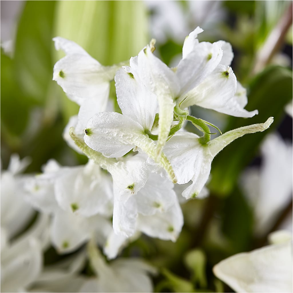 Classic Ivory – A Florist Original –  The Flower Factory, Tarzana CA
