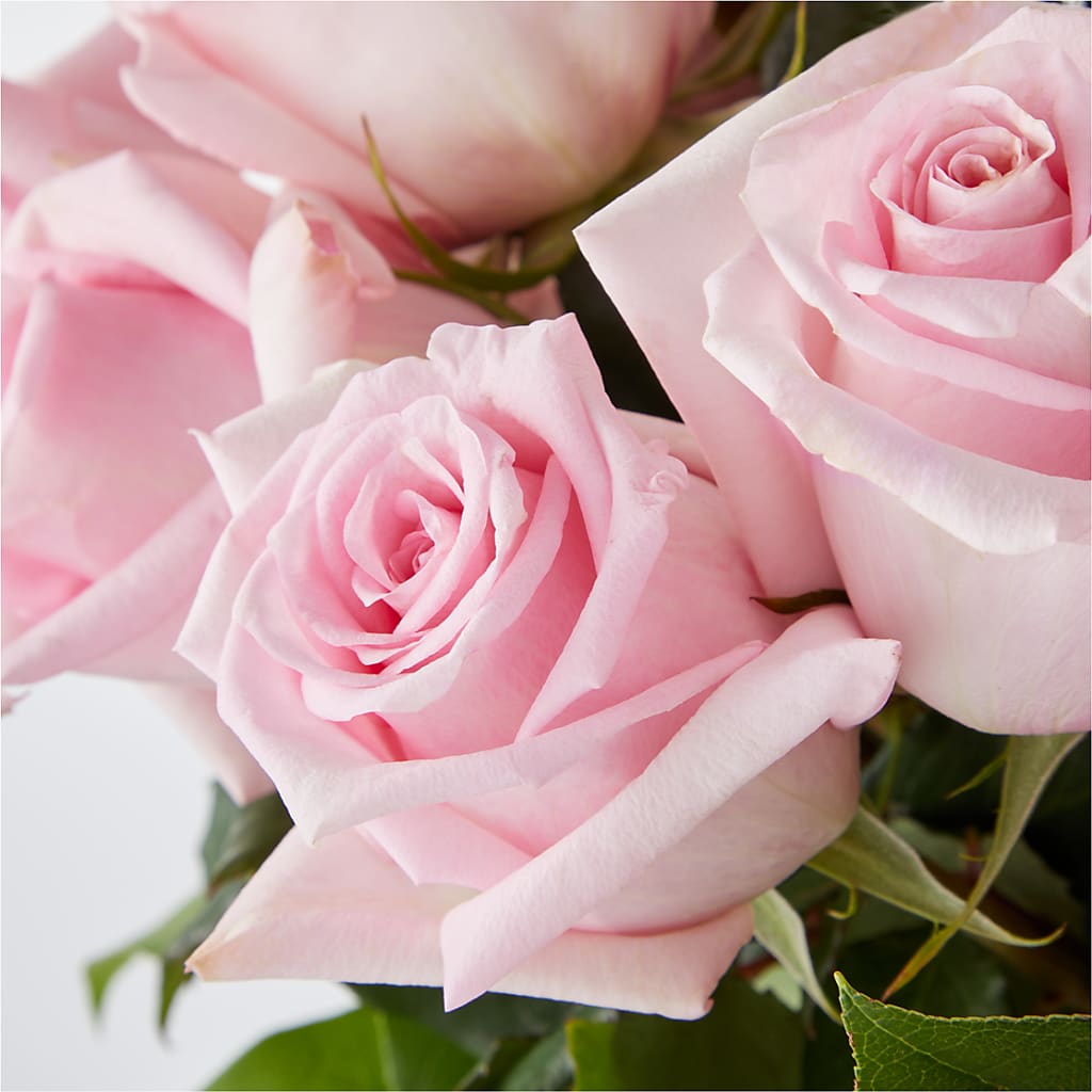Picture Perfect Pink Rose Bouquet –  The Flower Factory, Tarzana CA