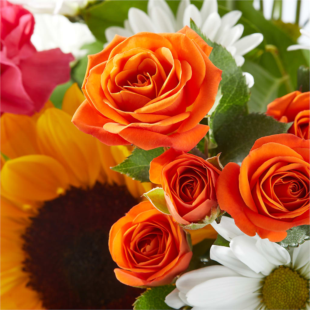 Sun-drenched Blooms Bouquet –  The Flower Factory, Tarzana CA