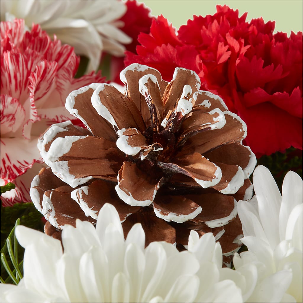 Candy Cane Lane Bouquet –  The Flower Factory, Tarzana CA