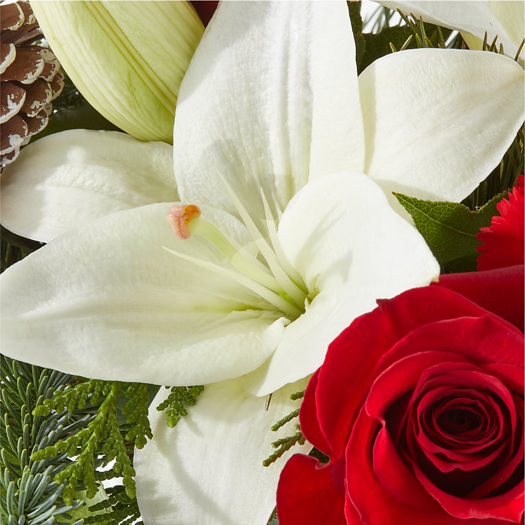Oh So Jolly Bouquet –  The Flower Factory, Tarzana CA