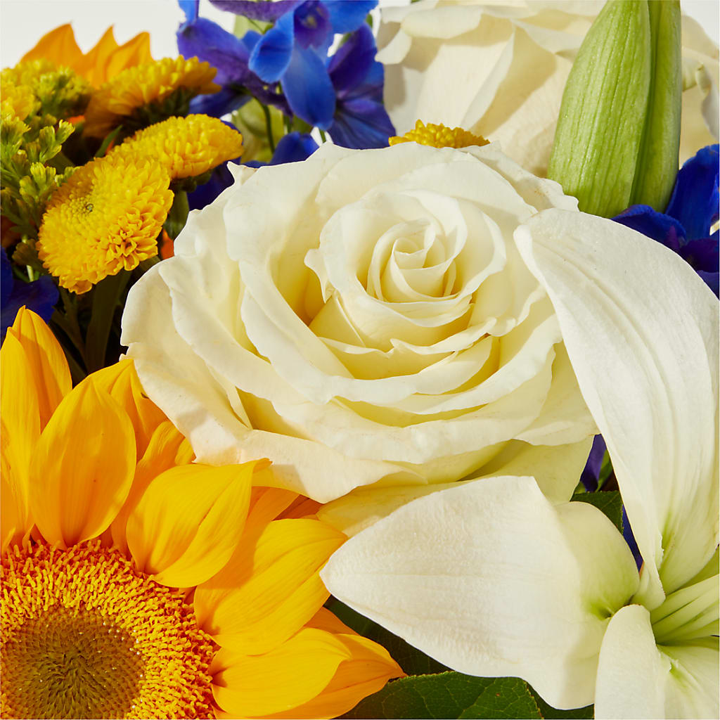Stargazing Bouquet –  The Flower Factory, Tarzana CA