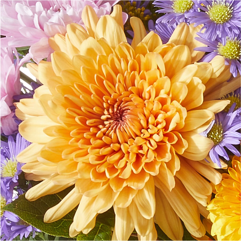 Countryside Bouquet –  The Flower Factory, Tarzana CA