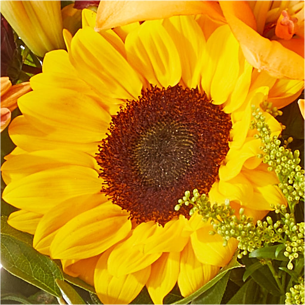 Seasons Change Bouquet –  The Flower Factory, Tarzana CA