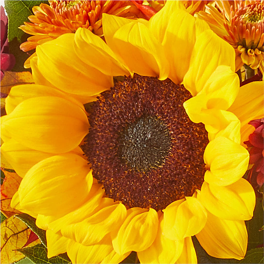 Sunny Side Bouquet –  The Flower Factory, Tarzana CA