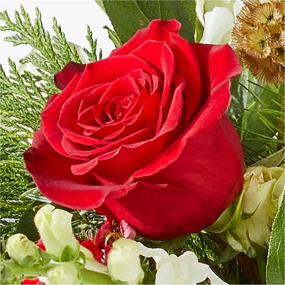 Deck the Halls Bouquet –  The Flower Factory, Tarzana CA