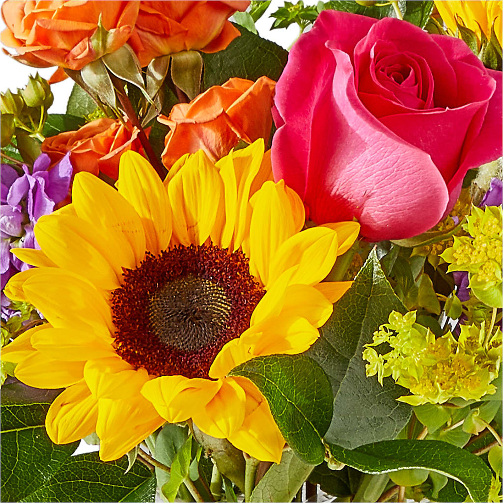 Vibrant Greetings Bouquet –  The Flower Factory, Tarzana CA
