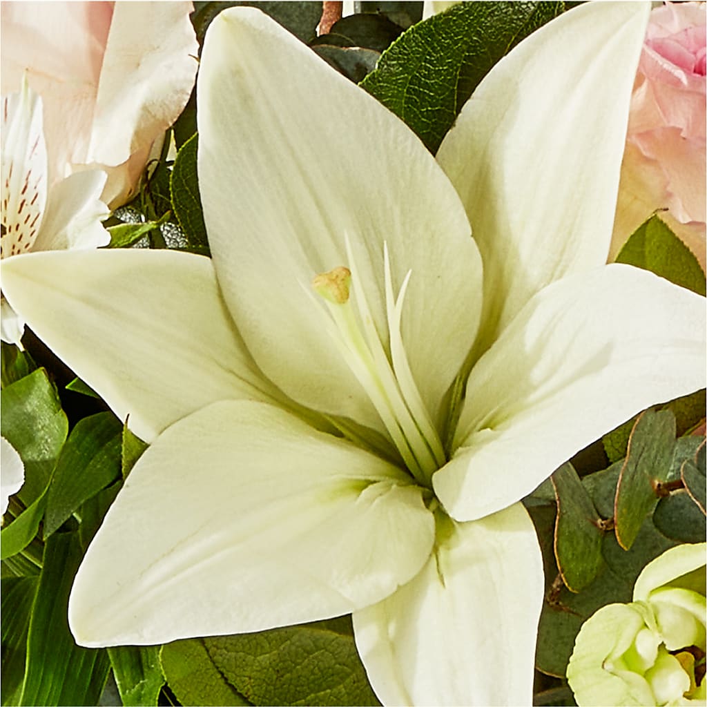 Ballet Slippers Bouquet –  The Flower Factory, Tarzana CA