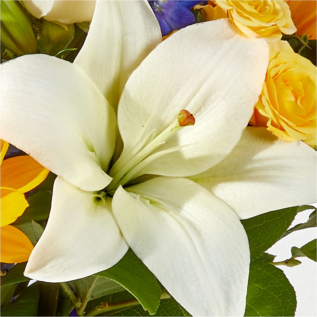 Wonderfully Sunny Bouquet –  The Flower Factory, Tarzana CA