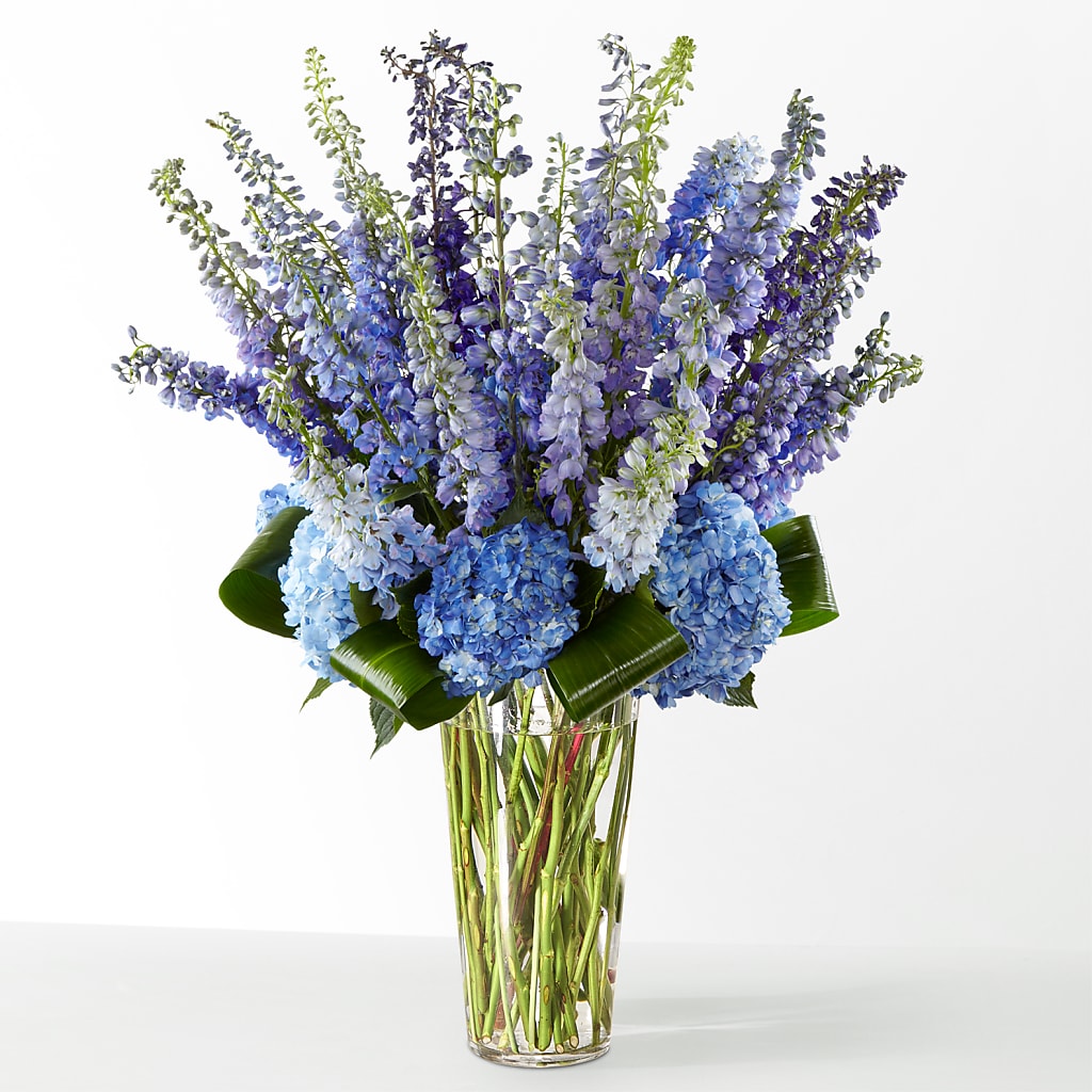 The Editorial –  The Flower Factory, Tarzana CA