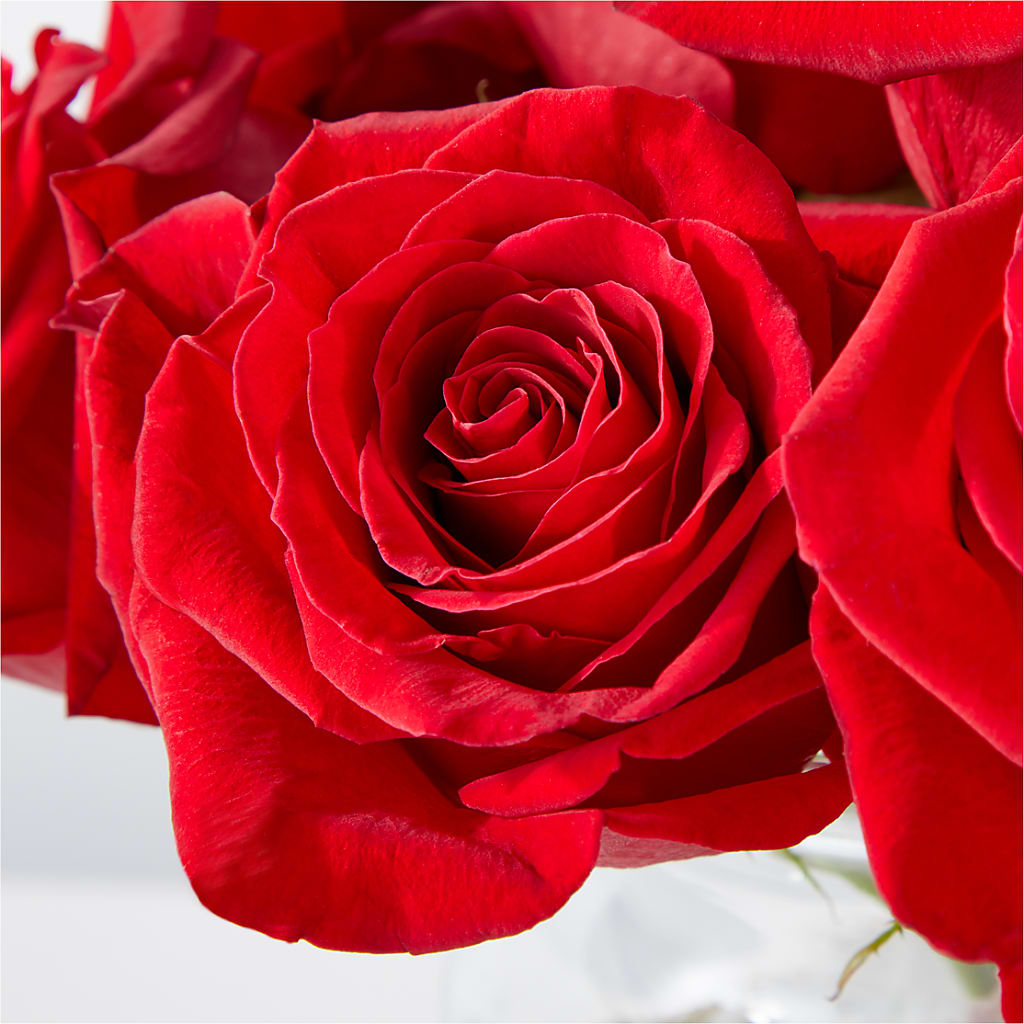 Cupid's Embrace Red Rose Bouquet –  The Flower Factory, Tarzana CA