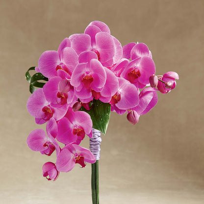 Glorious Bouquet –  The Flower Factory, Tarzana CA