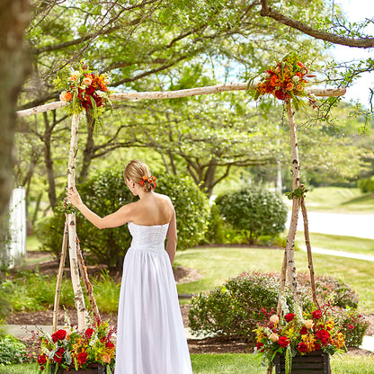 Arbor of Love Archway –  The Flower Factory, Tarzana CA