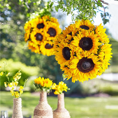 Sublime Garden Hanging Arrangement –  The Flower Factory, Tarzana CA