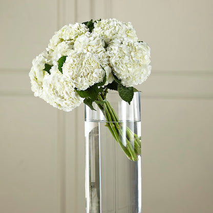 White Hydrangea Hand-Tied Bouquet –  The Flower Factory, Tarzana CA