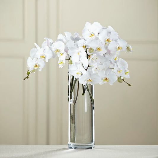 White Phalaenopsis Bouquet –  The Flower Factory, Tarzana CA