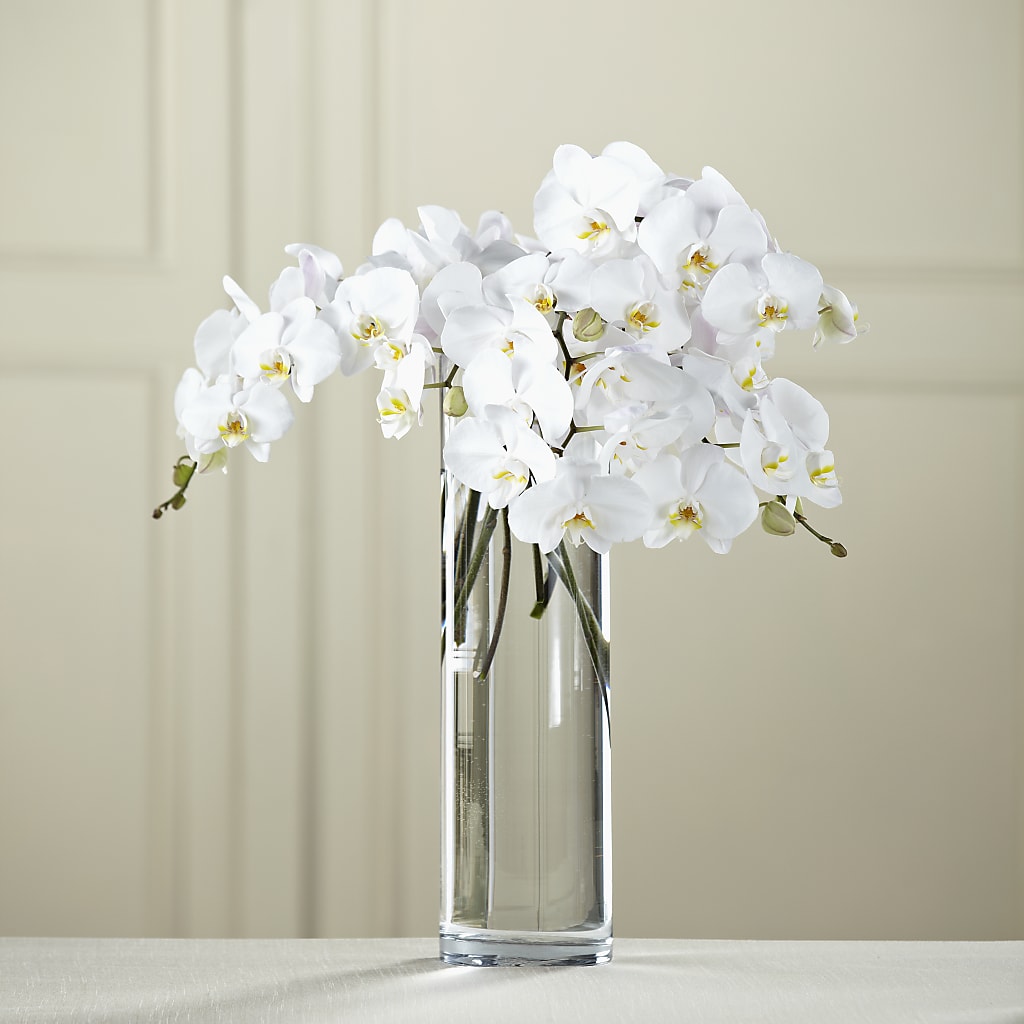White Phalaenopsis Bouquet –  The Flower Factory, Tarzana CA
