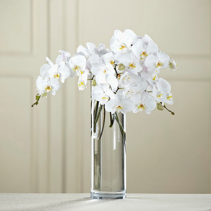 White Phalaenopsis Bouquet –  The Flower Factory, Tarzana CA