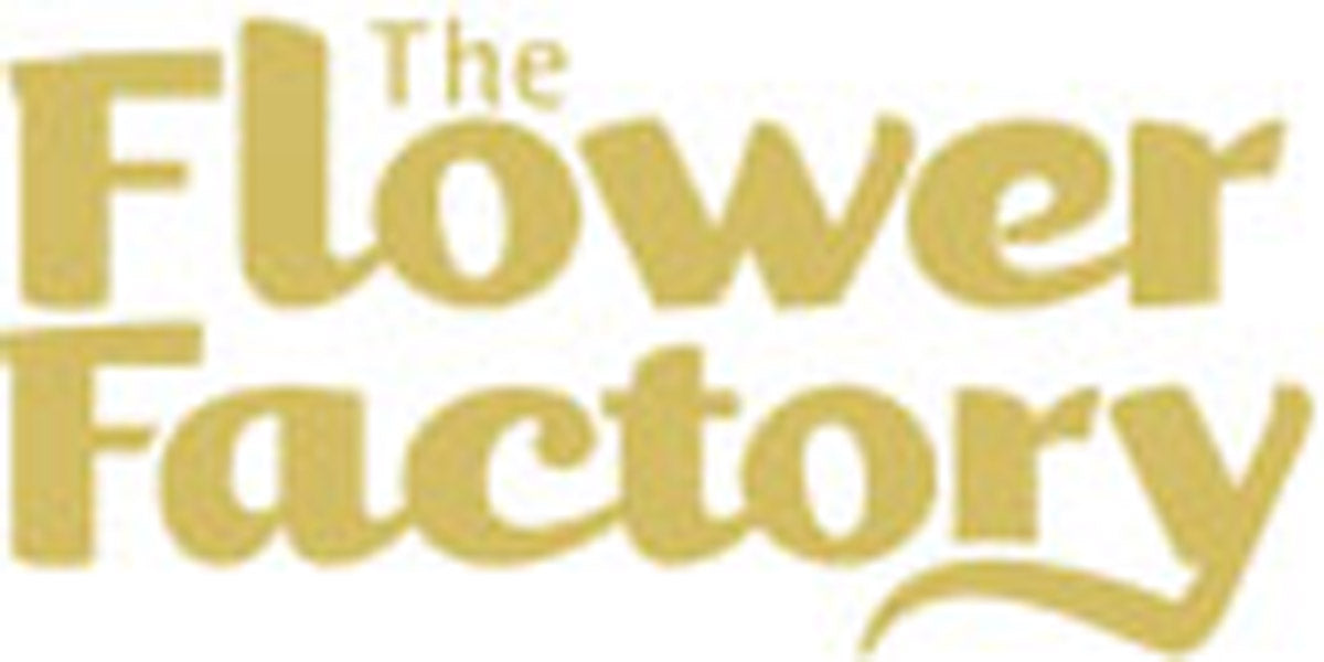 Una reflexión sobre un hito de graduación–The Flower Factory