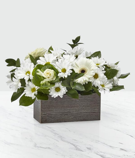 ALL WHITE gerbera daisies, daisy poms and salal complemented by lush ornamental kale set in a weathered, rustic wooden rectangular box. STANDARD SIZE