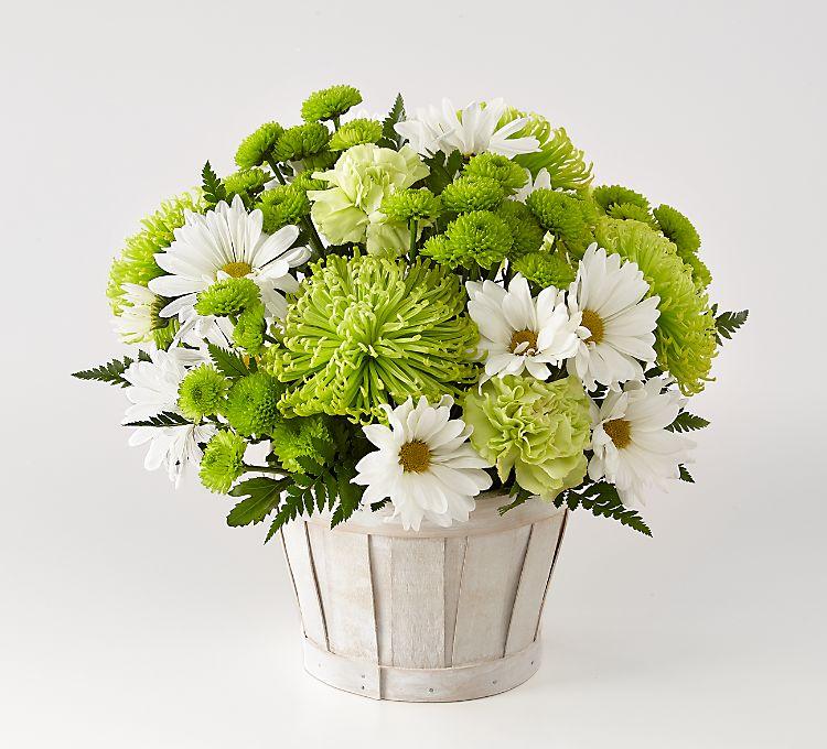 A mix of green and white florals, and features a refreshing mix of Fuji mums, carnations and button pompons.