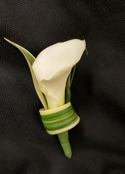 FOR PICK UP ONLY IN OUR LOCAL TARZANA,CA LOCATION  The Flower Factory White Calla Boutonniere is the picture of elegant sophistication. 