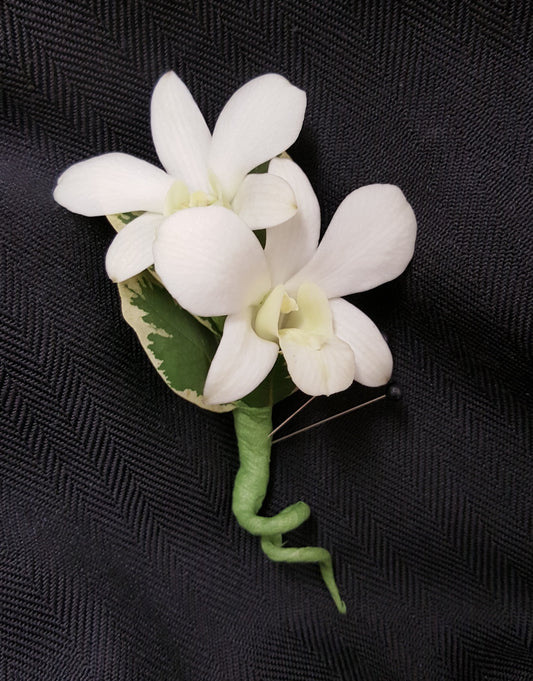 A Boutonniere with a fresh Dendrobium Orchid, in either white or bombay colors.