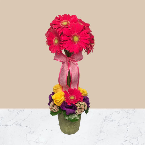 Gerbera Daisies uniquely arranged in a topiary style.  Accented at the base with roses, lisianthus, Cymbidium Orchid blooms and coordinating ribbon.