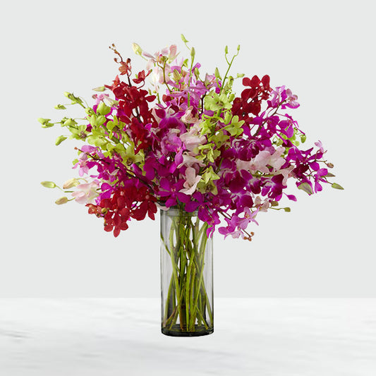  An assortment of brilliant dendrobium orchids in the shades of red, lavender, green, fuchsia, hot pink and pale pink are brought together to create a simply fantastic display. Wrapped in a single tropical leaf and perfectly arranged in a superior clear glass vase
