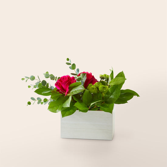 HOT PINK ROSES AND GREEN BUTTON POM POMS WITH GREENERY AND FILLER IN A WHITE WOODCHIP BOX. STANDARD SIZE