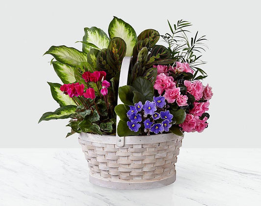 A COLORFUL DISPLAY OF AN ARRAY OF PLANTS IN A WHITE BASKET