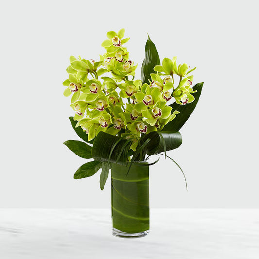  Elegant jade green cymbidium orchids, known for their longevity and stunning sophistication, are arranged amongst a variety of lush tropical greens to create an exceptional flower arrangement. Presented in a superior clear glass cylindrical vase lined with a ti leaf WRAP
